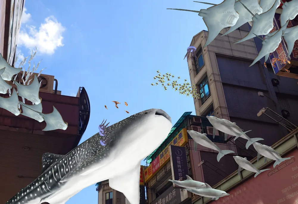 AR marine life scene 04